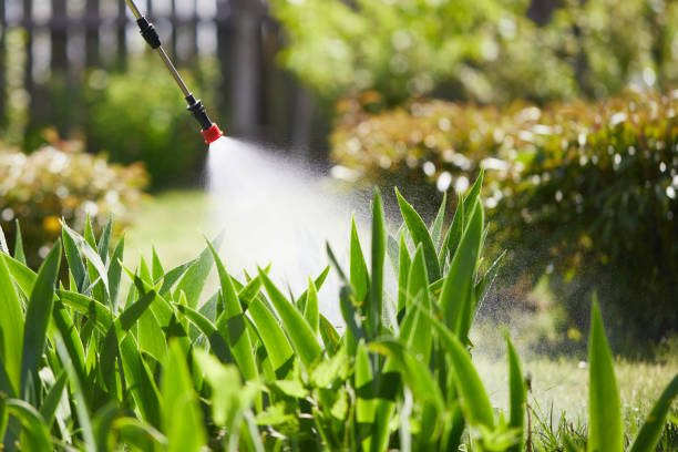 24/7 Emergency Mosquito Control experts in Ripon, WI